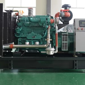 50KW沼氣燃氣發電機組