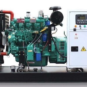 20KW沼氣燃氣發電機組