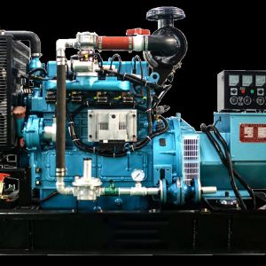 10KW沼氣燃?xì)獍l(fā)電機組