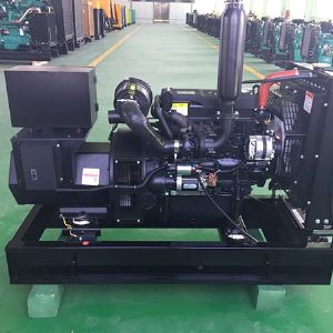 濰柴揚動30KW發電機組