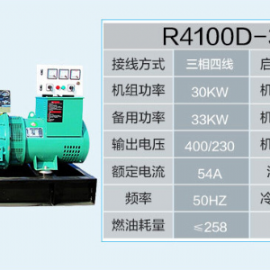濰坊30KW發電機組