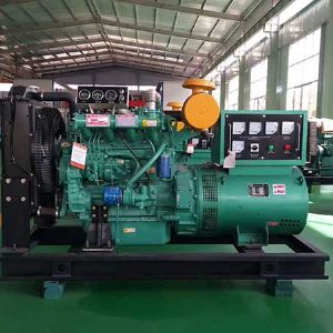 濰坊50KW發(fā)電機(jī)組