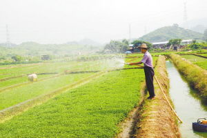 沃爾瑪在塘廈建立東莞首個農超對接基地，新鮮蔬菜直供零售