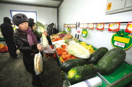 新疆商務主打民生牌，新鮮蔬菜零售前沿實踐